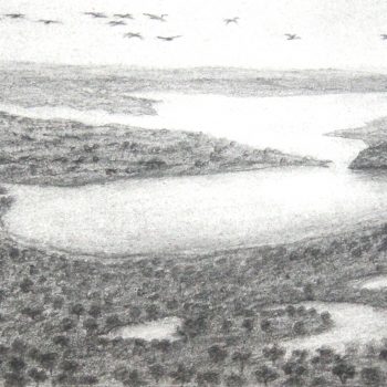 Derbarl Yerrigan Swan River South Western View